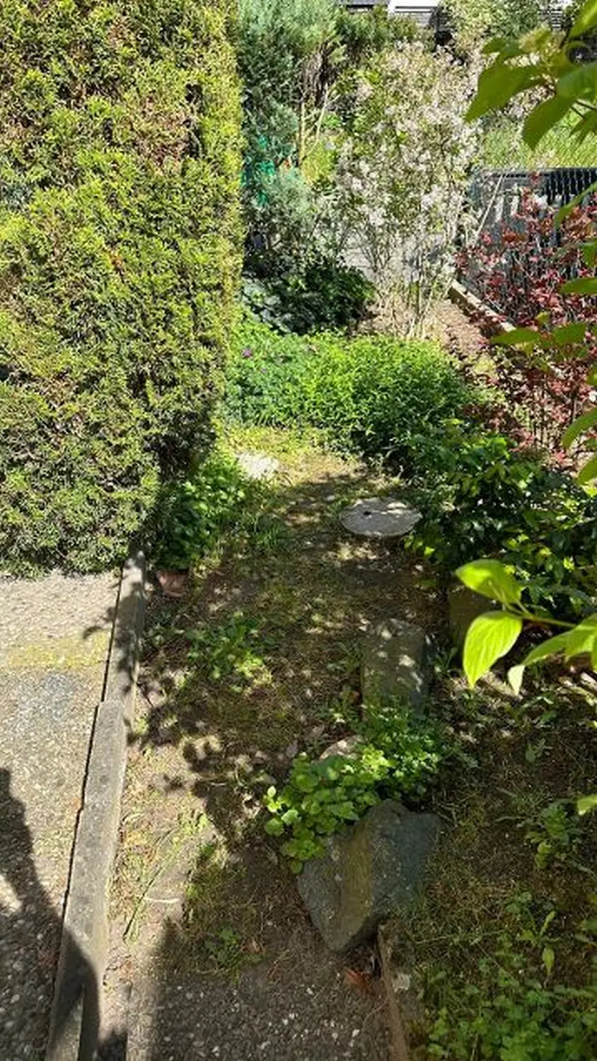 AM Dienstleistung - Vor der Vorgartenpflege