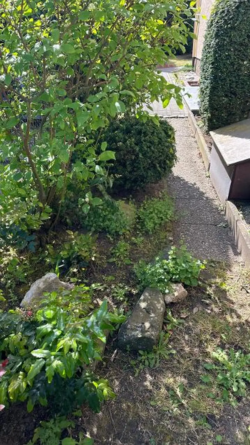 AM Dienstleistung - Vor der Vorgartenpflege