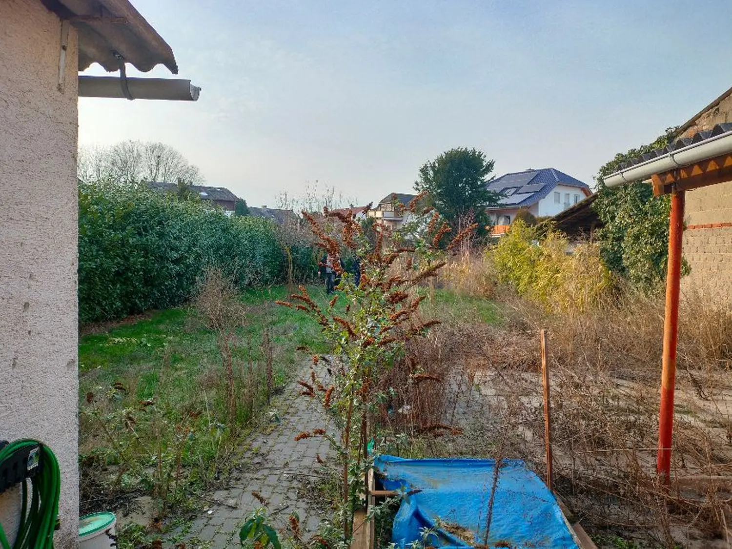 AM Dienstleistung - Vor der Gartenpflege