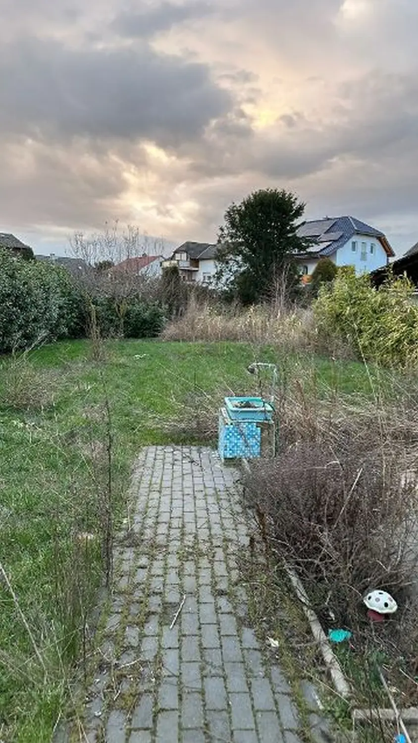 AM Dienstleistung - Vor der Gartenpflege