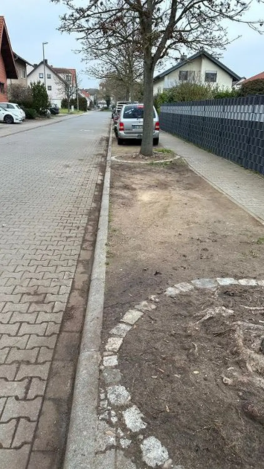AM Dienstleistung - Nachher der Hausmeisterdienste