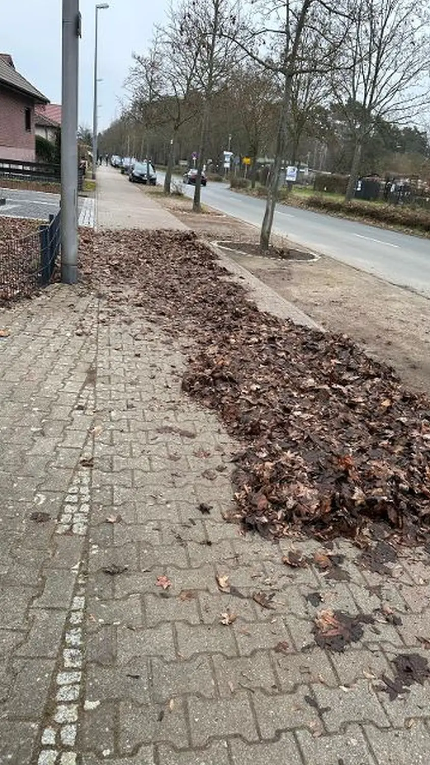 AM Dienstleistung - Vorher der Hausmeisterdienste