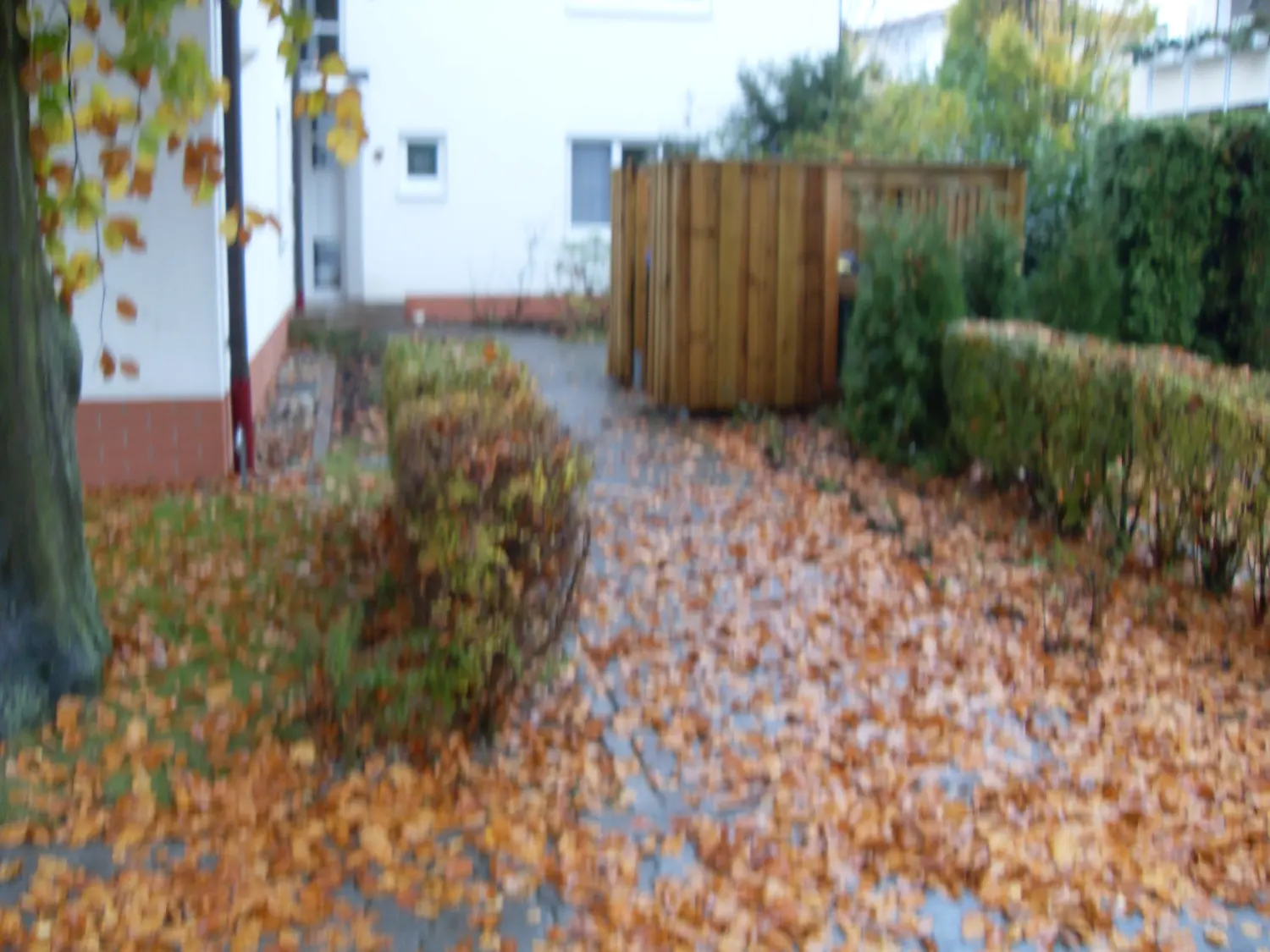 AM Dienstleistung - Vorher der Hausmeisterdienste