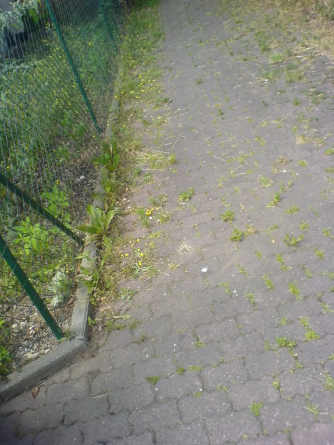 AM Dienstleistung - Vorher der Hausmeisterdienste